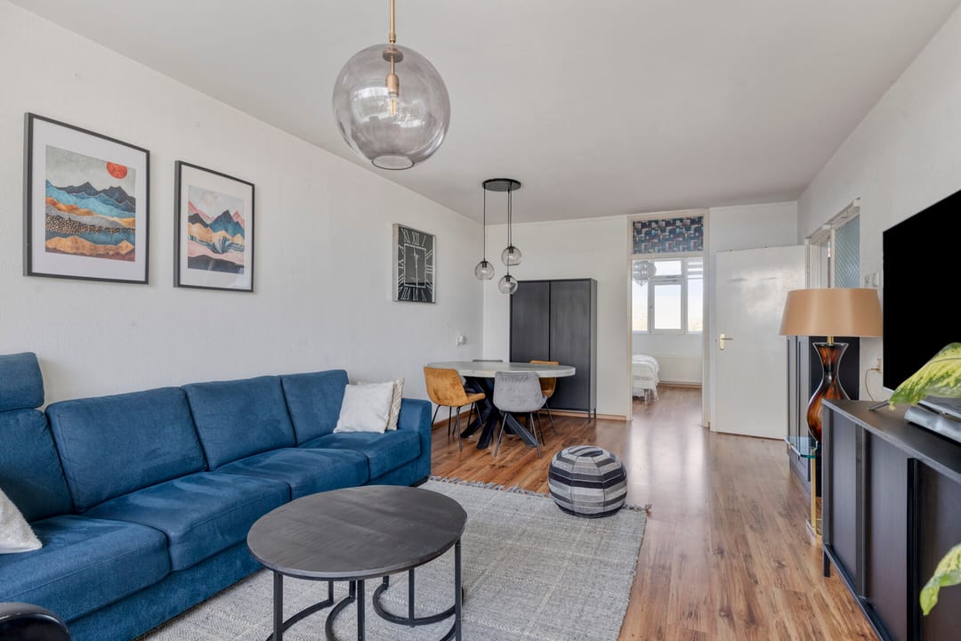 Photo 11 of Pollux 161