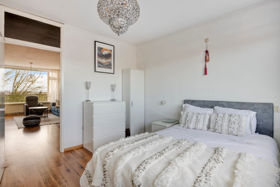 Photo 16 of Pollux 161