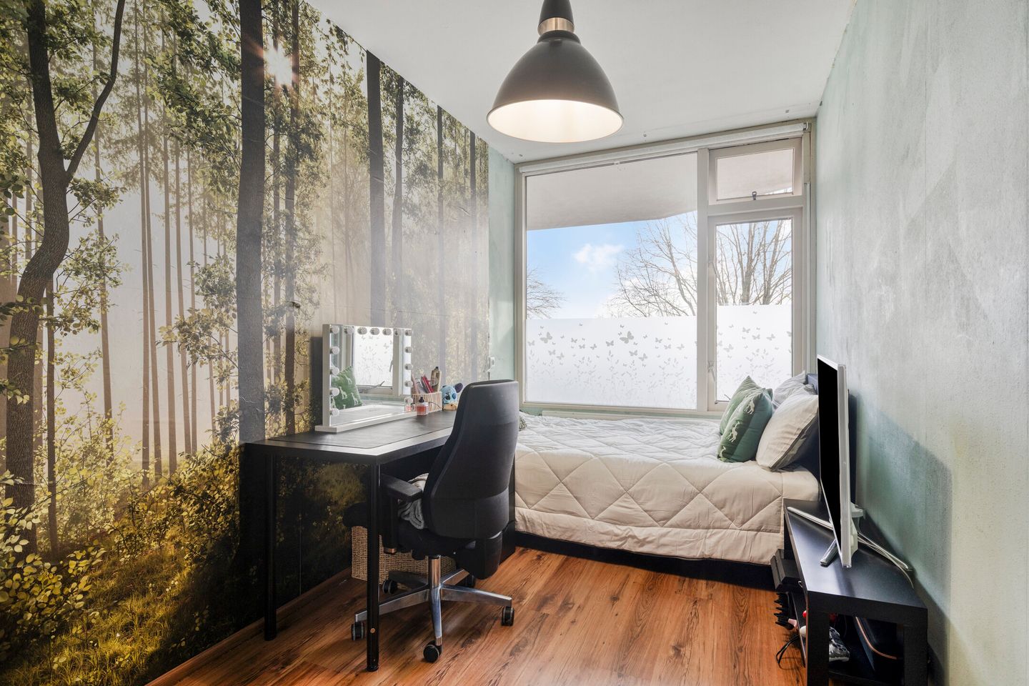 Photo 19 of Pollux 161