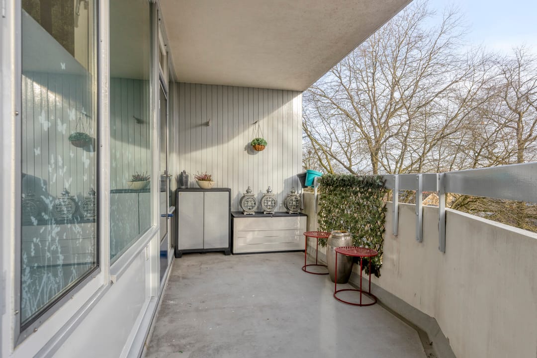 Photo 23 of Pollux 161