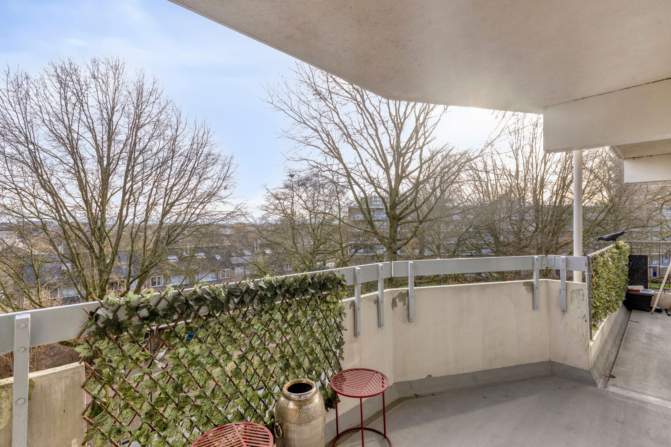 Photo 24 of Pollux 161