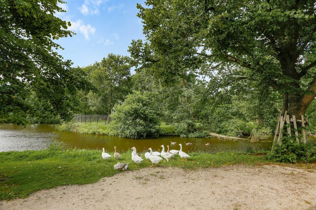 Foto 16 van Anna van Buerenplein 142