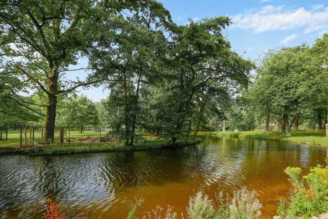 Foto 17 van Anna van Buerenplein 142