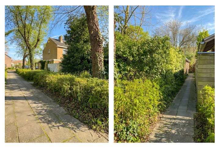 Foto 57 van Pijlemeeth 29