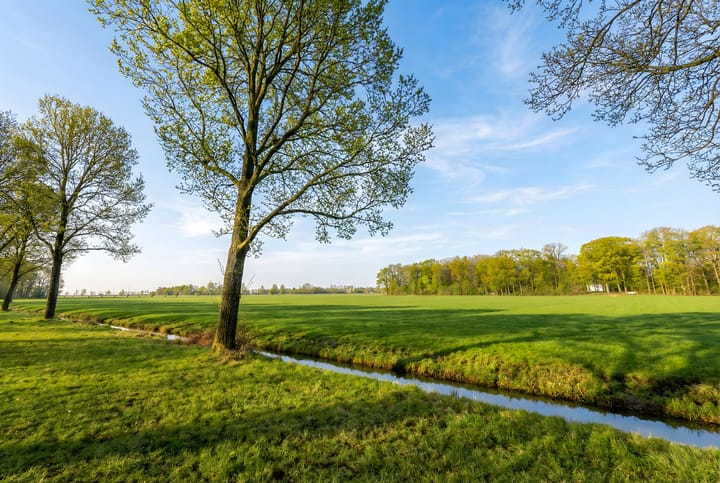 Foto 61 van Pijlemeeth 29