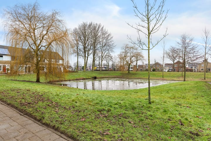 Foto 48 van Hunze 135