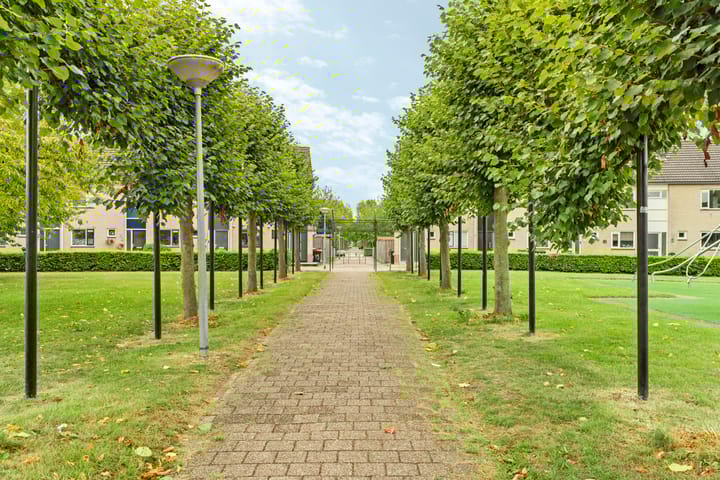 Foto 44 van Bizonplantsoen 27