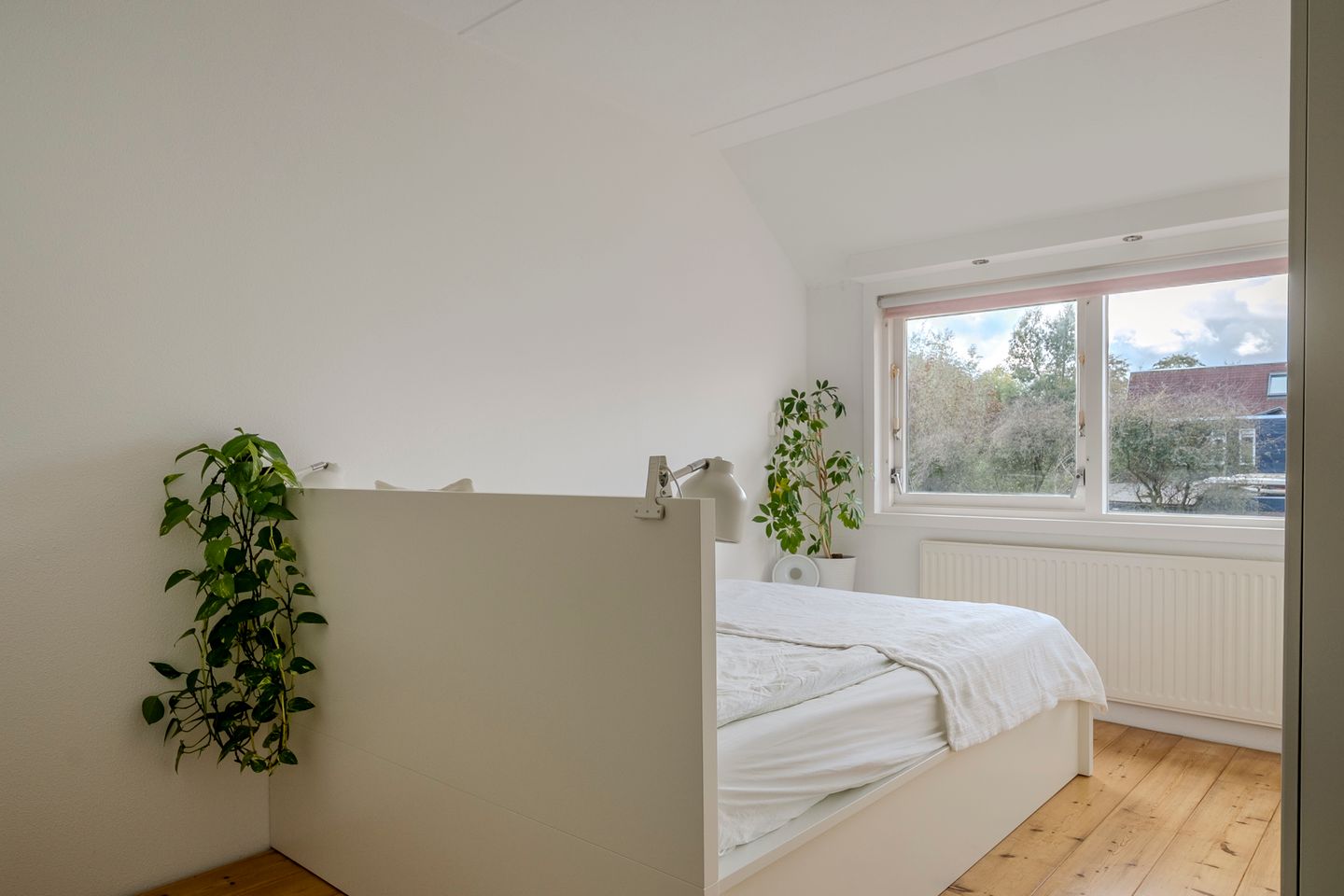 Foto 19 van Amstel 22