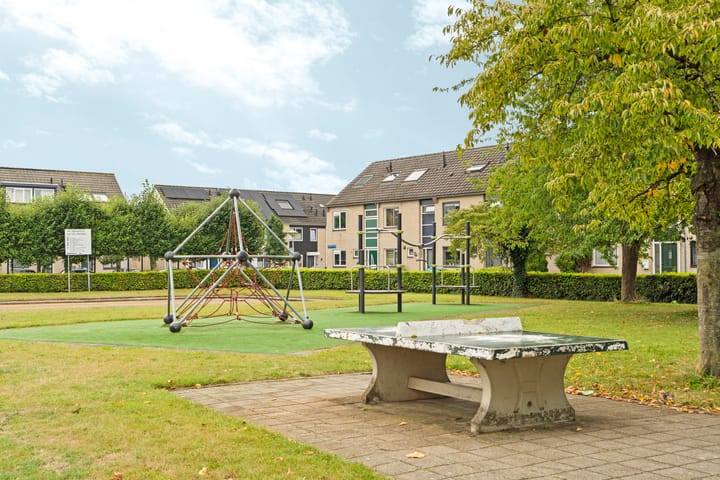 Foto 45 van Bizonplantsoen 27