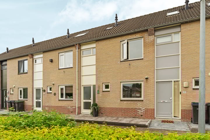 Foto 46 van Bizonplantsoen 27