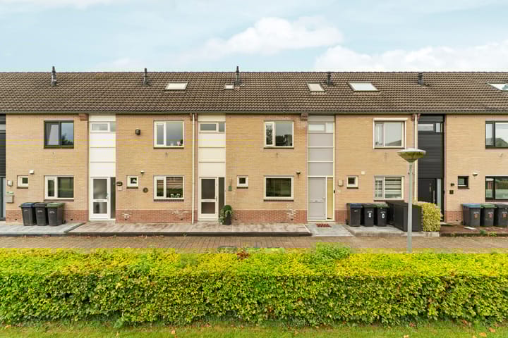 Foto 47 van Bizonplantsoen 27