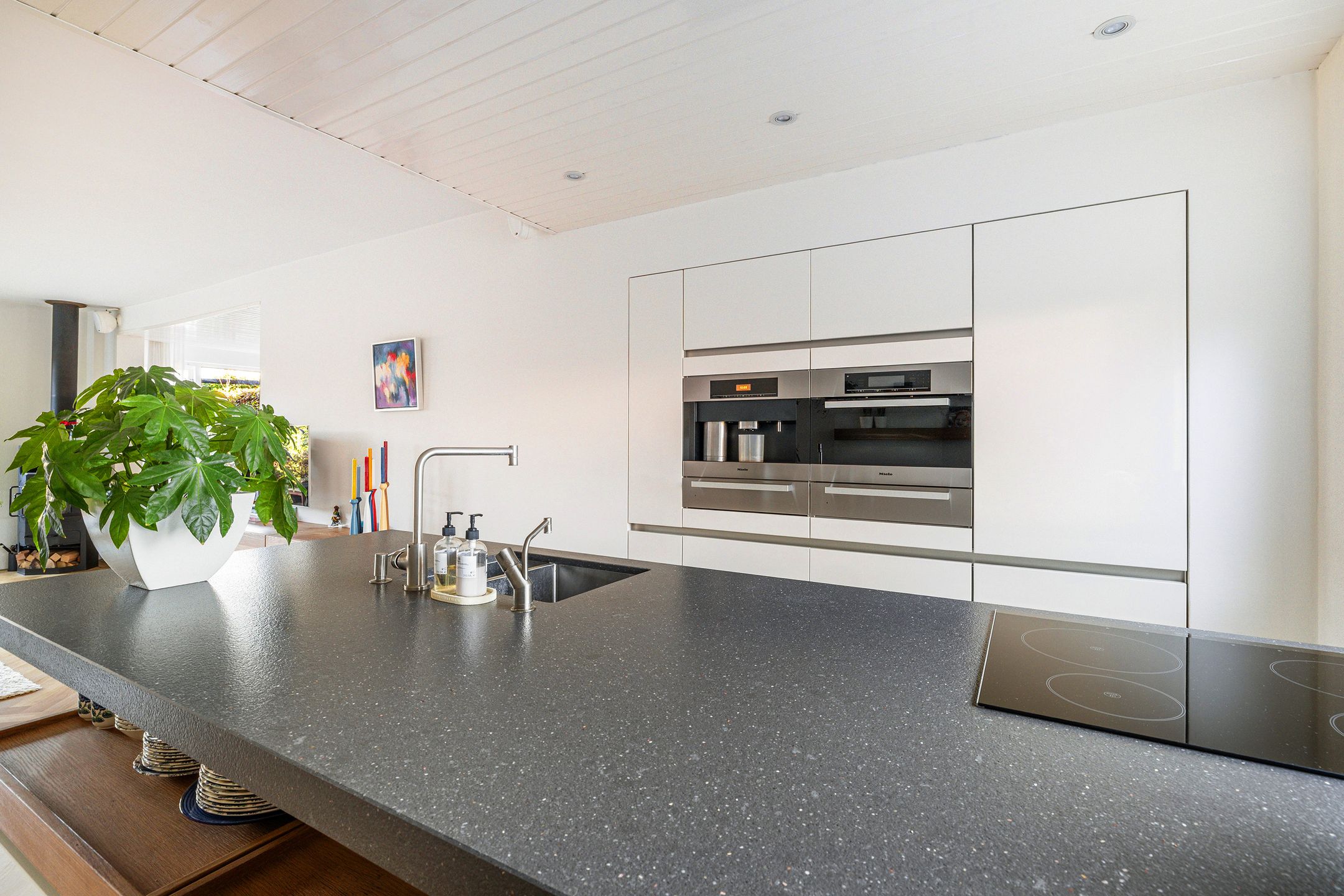 Photo 3 of Vuurdoorn 43