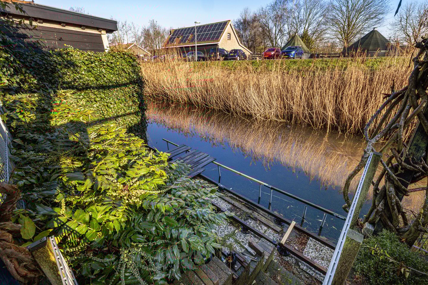 Photo 29 of Vuurdoorn 43