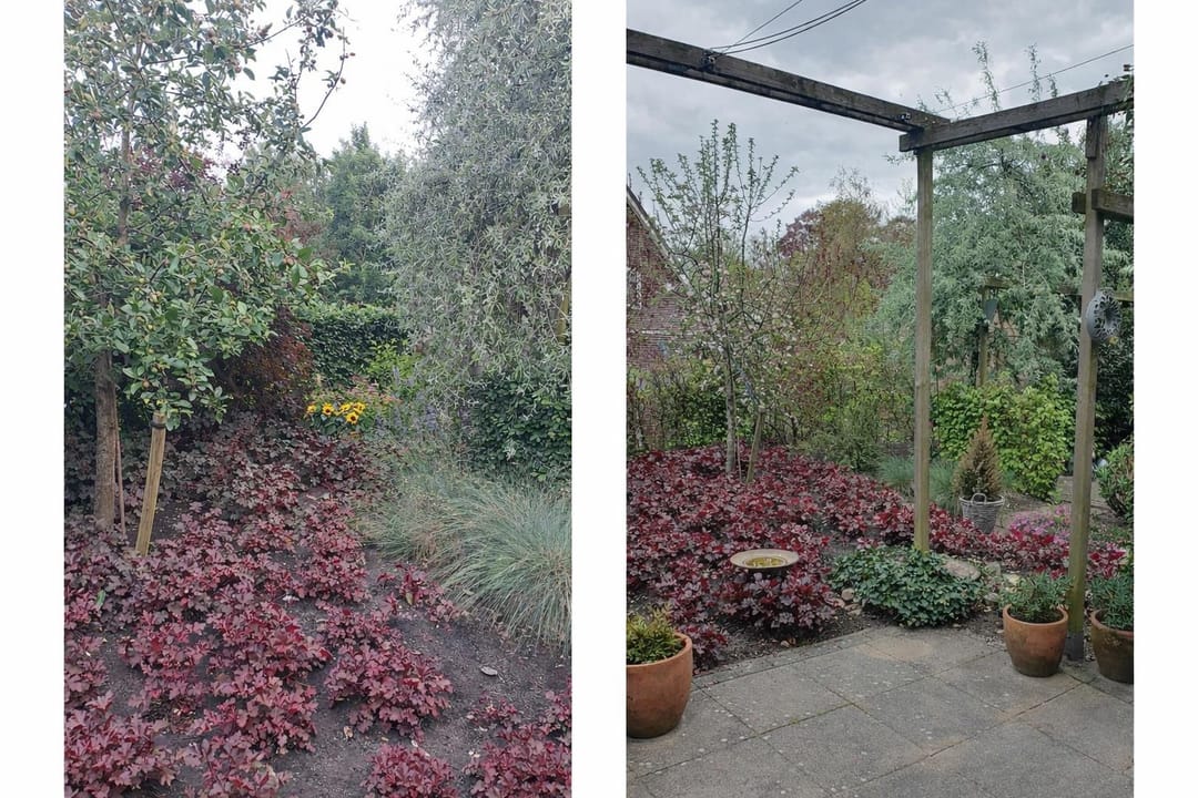 Foto 32 van Burgemeester Boldinghlaan 16