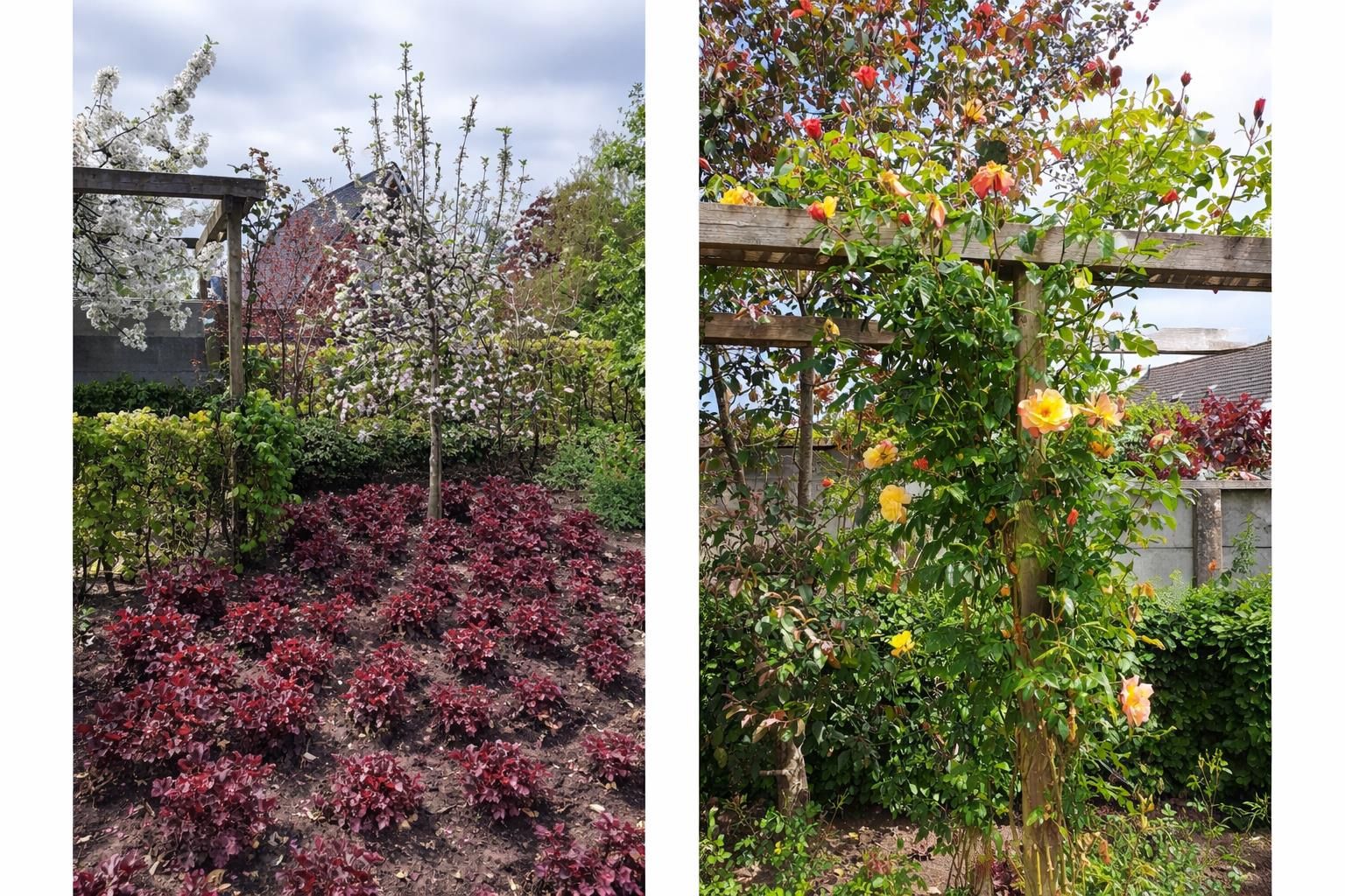 Foto 33 van Burgemeester Boldinghlaan 16