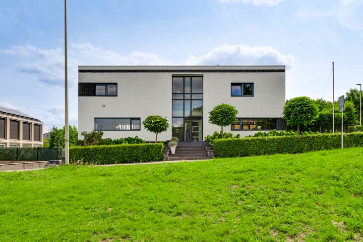 Hondsdraf 2 main image