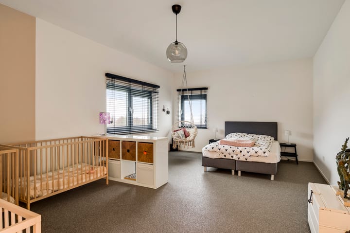 Photo 27 of Hondsdraf 2