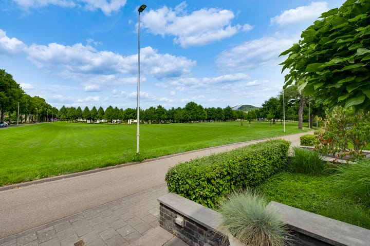 Photo 40 of Hondsdraf 2