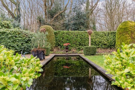 Het Lage Holt 12 tertiary image