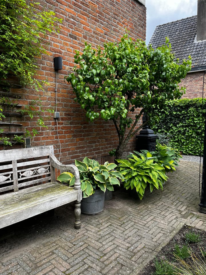 Foto 50 van Rithsestraat 7