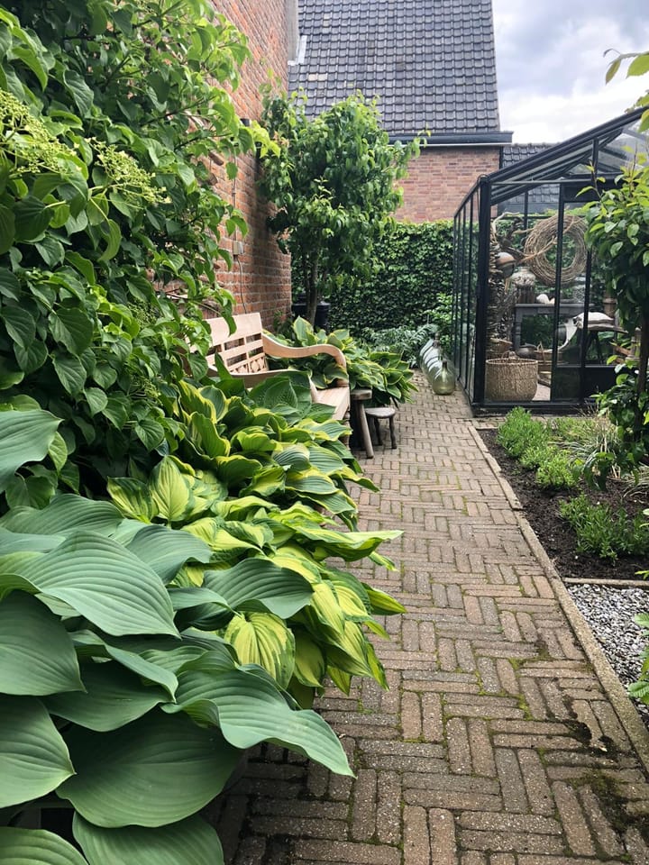 Foto 52 van Rithsestraat 7