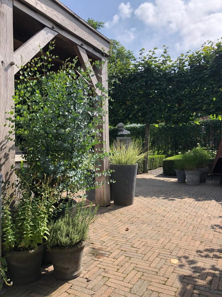 Foto 53 van Rithsestraat 7