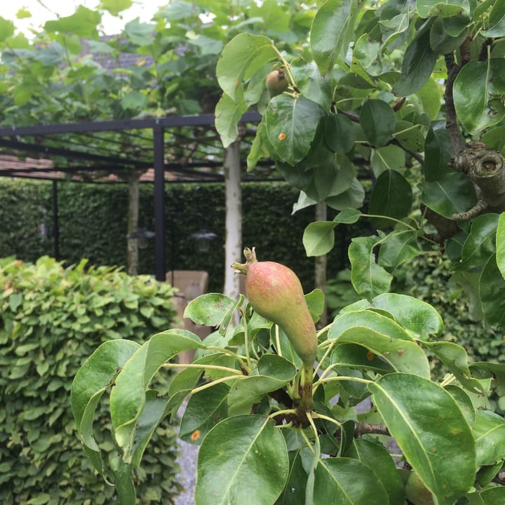 Foto 54 van Rithsestraat 7