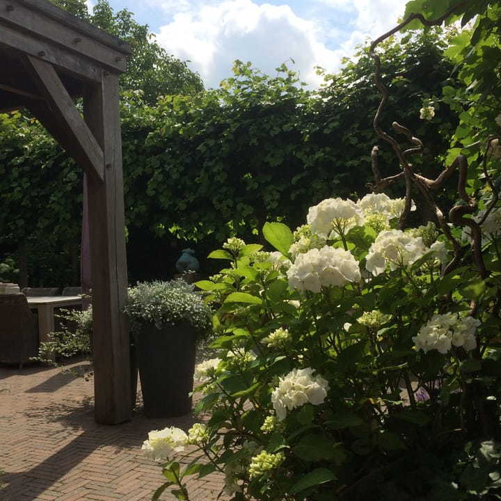 Foto 56 van Rithsestraat 7