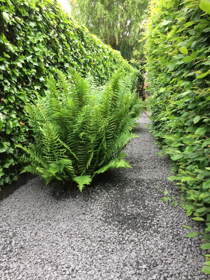 Foto 57 van Rithsestraat 7