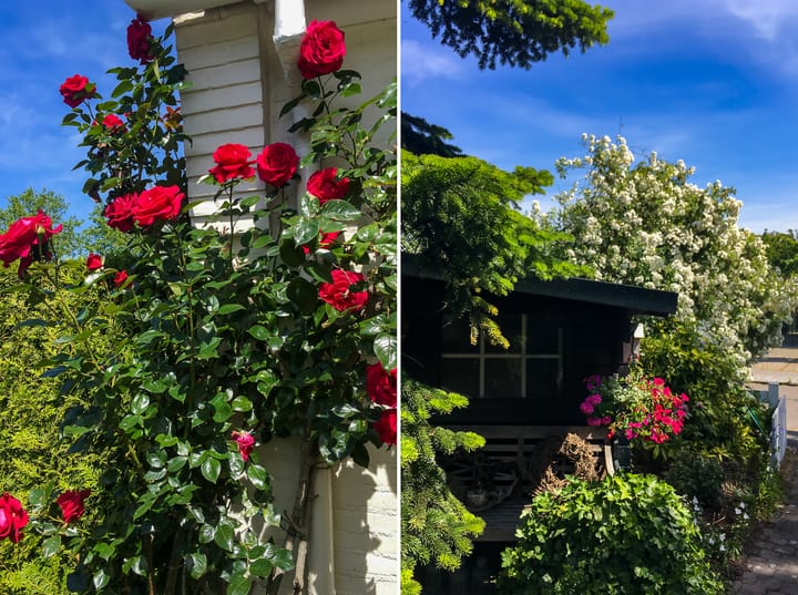 Foto 30 van Arnelaan 2