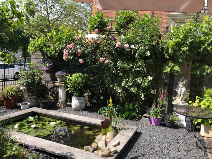 Foto 14 van Turfkade 10