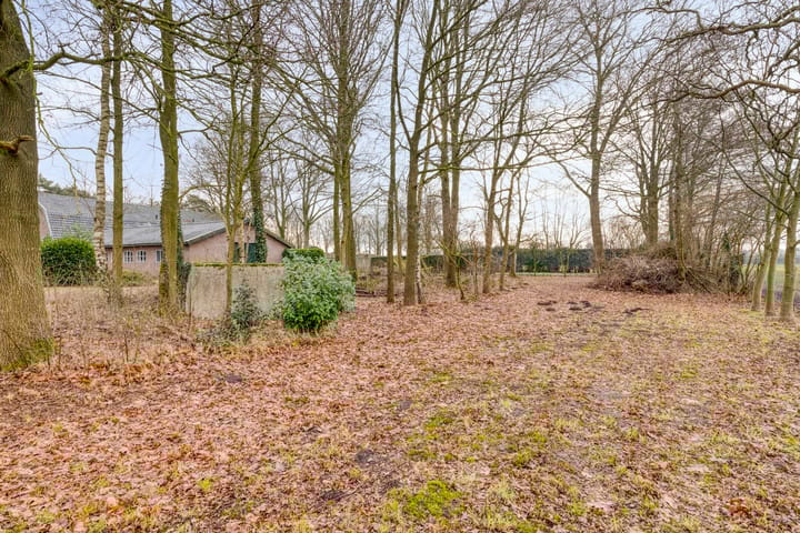 Foto 58 van Schafterdijk 4