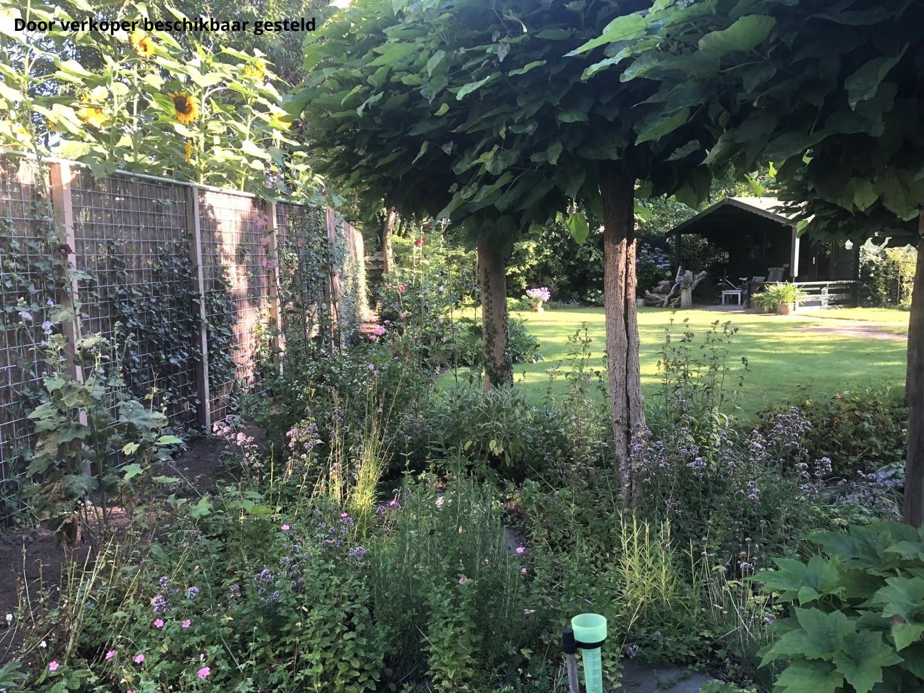 Foto 51 van de Bommerij 19