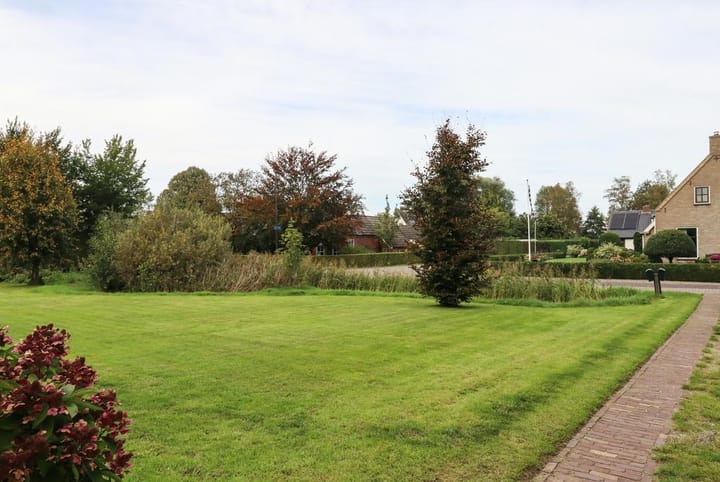 Photo 8 of It West 29