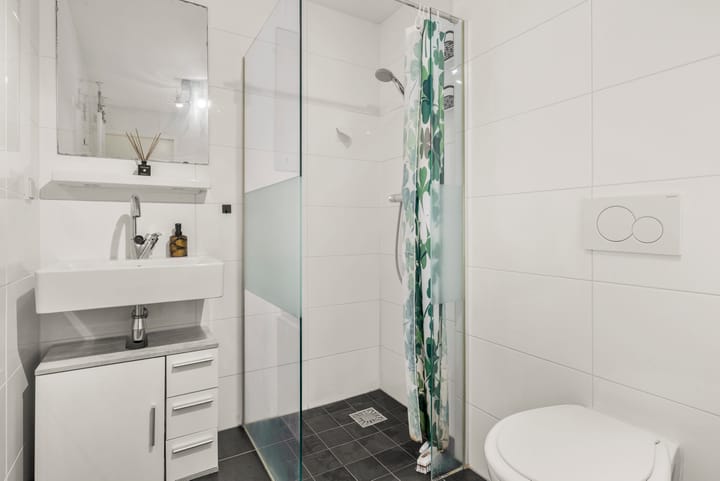 Foto 4 van Theseusstraat 16-1