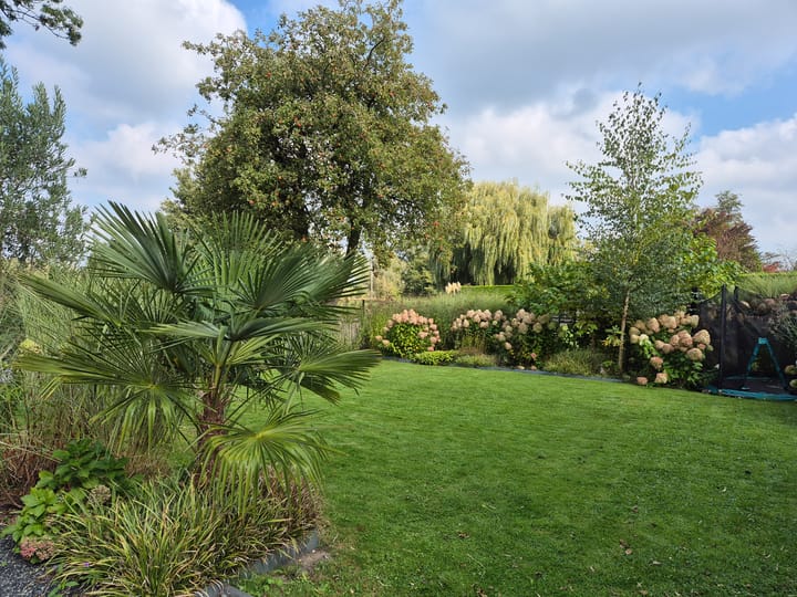 Foto 76 van Heistraat 240