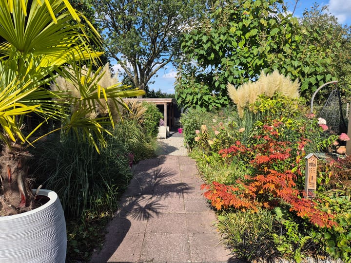 Foto 80 van Heistraat 240