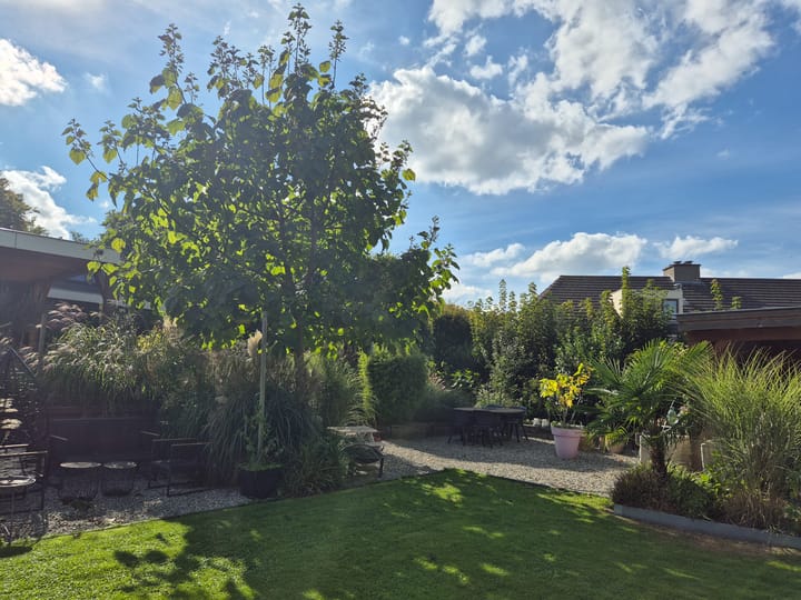 Foto 82 van Heistraat 240