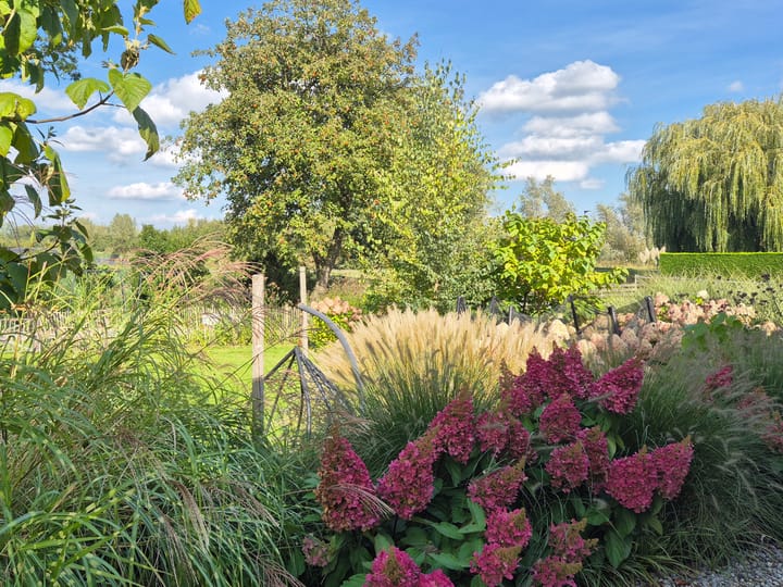 Foto 85 van Heistraat 240