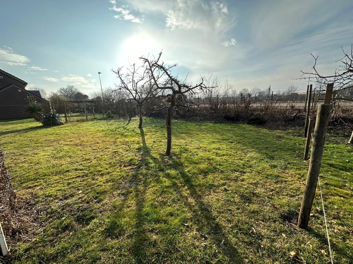 Foto 10 van Horsterweg