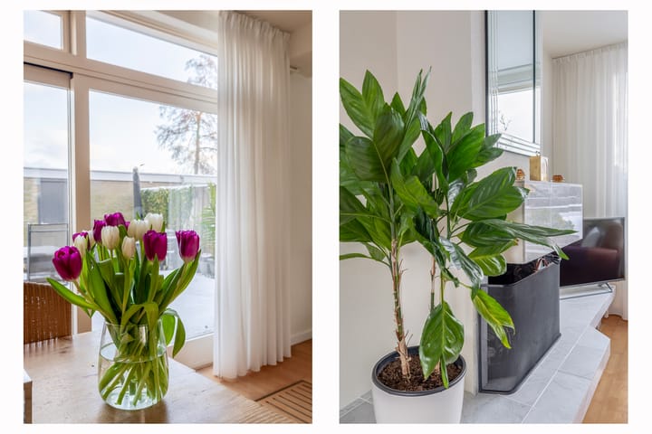 Foto 12 van Wederikstraat 7