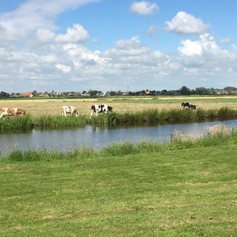 Foto 57 van Wederikstraat 7