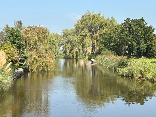 Foto 58 van Wederikstraat 7