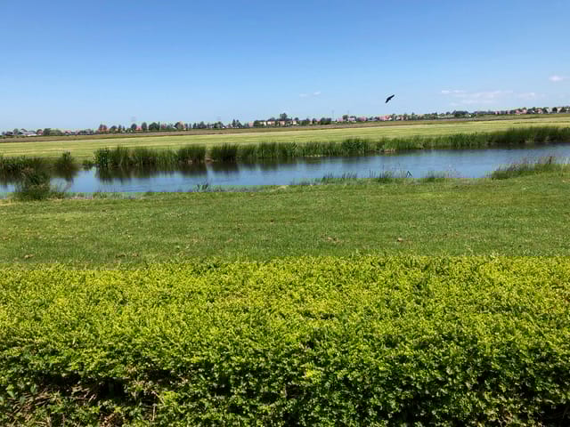 Foto 59 van Wederikstraat 7