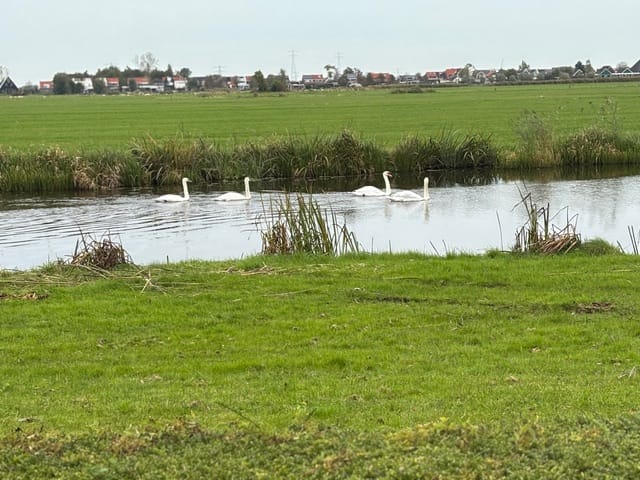 Foto 63 van Wederikstraat 7