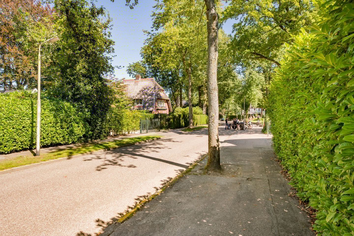 Foto 40 van Van Limburg Stirumlaan 3