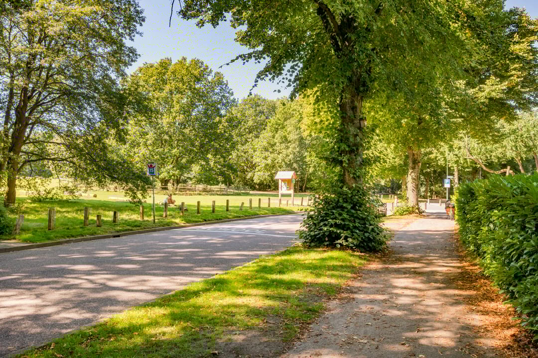 Foto 41 van Van Limburg Stirumlaan 3