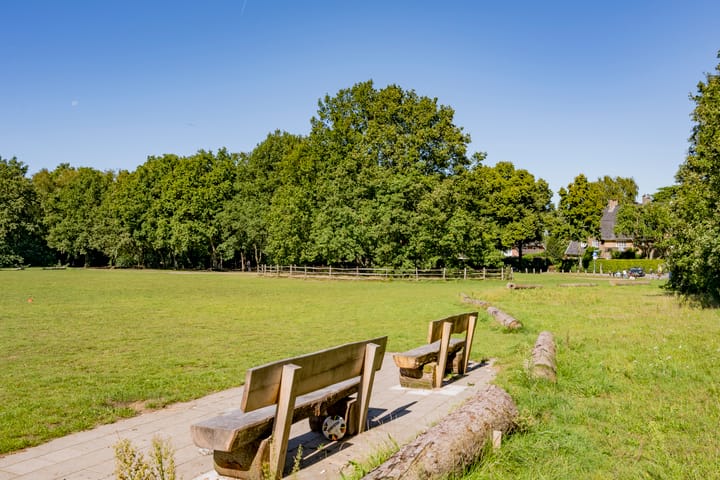 Photo 42 of Van Limburg Stirumlaan 3