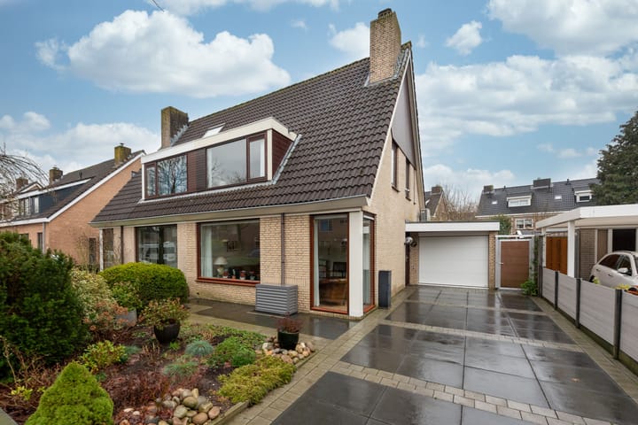 Foto 2 van Esdoorn 15