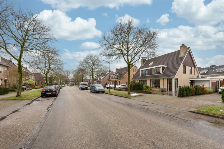 Foto 3 van Esdoorn 15